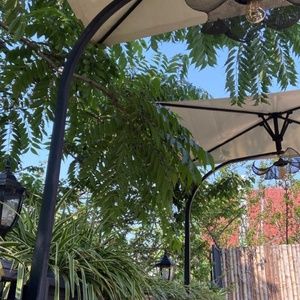 Meet your Posher, sophia